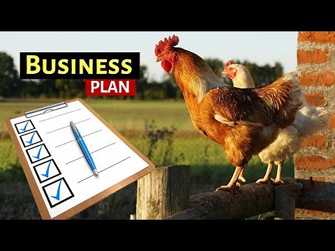 How To Make a Poultry Farm Business Plan | The Hidden Recipe for Success