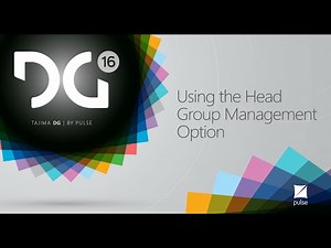 Tajima DG16 by Pulse - Head Grouping Option