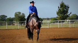 5.3K views · 300 reactions | We are now accepting contracts for the 2021 breeding season in Australia! Please contact  헸헶헺@헲헲헿헮헻헰헵헲혀.헰헼헺 for a contract. Stud Fee: ＄ퟰ,ퟬퟬퟬ ퟱ 헣헔헡험헟 헡험헚헔헧헜헩험 #VSFlatline #EERanches #equineathletes #nsba #aqha #2m  Superlative Equine | VS Flatline | Facebook