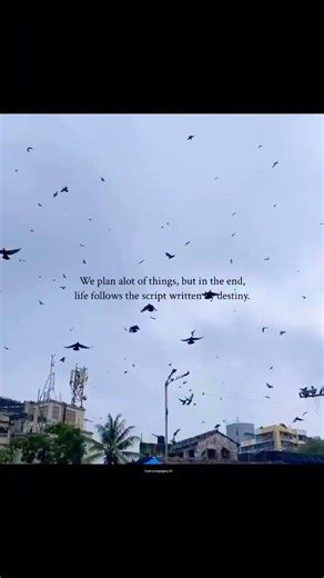 In the end life follow the script written by destiny 🤍 #shorts