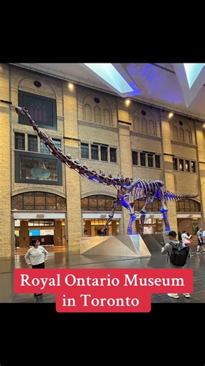 Explore the Royal Ontario Museum in Toronto