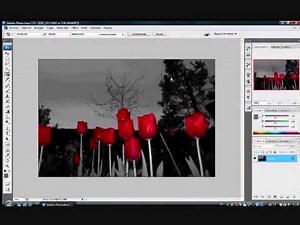 Cómo dejar partes en color y otras en blanco y negro (Photoshop)