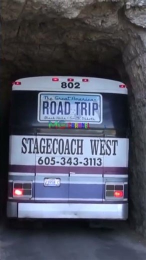 God Skill Driver #shorts #skills #fyp viral