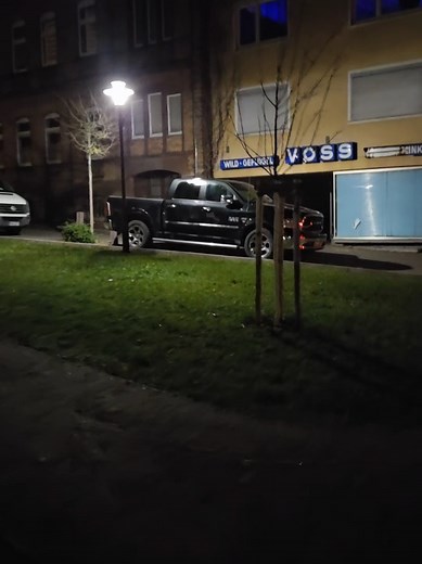 Deutsch Erfahrung mit dem Dodge Ram: Geschwindigkeit und Komfort