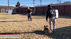 13K views · 53 reactions | Practice time for this K9. | The National Desk - TND | Facebook