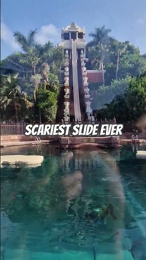 28 Meters of PURE FEAR! 😱 Siam Park Tower of Power Drop Over Sharks!✨️