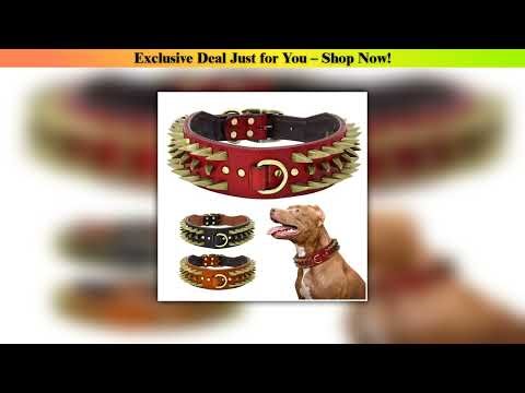 Review Cool Spiked Studded Leather Dog Collar Strong Big Dog Collars For Medium Large Dogs Pitbull•