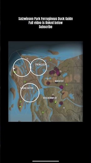 Salzwiesen Park Ferruginous Duck Guide | TheHunter Call Of The Wild 2025