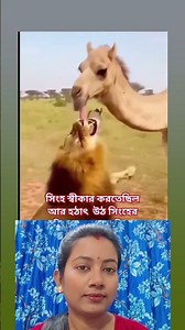 wild Vs pet animals 🐕🐅 #reels #wildlife #viral #viralvideo