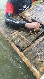 301K views · 2.6K reactions | Hulaan nyo ang laman nito mga kabeaches | CAbeaches | Facebook