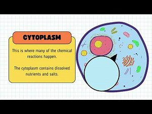 Basic Biology learning