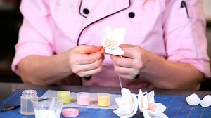 How to Paint & Assemble a Magnolia Sugar Paste Flower