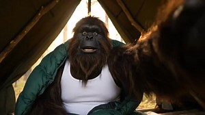 35K views · 1.2K reactions | big foot vlogs - a day in my life  #vlog #bigfoot | Yetis vlog | Facebook