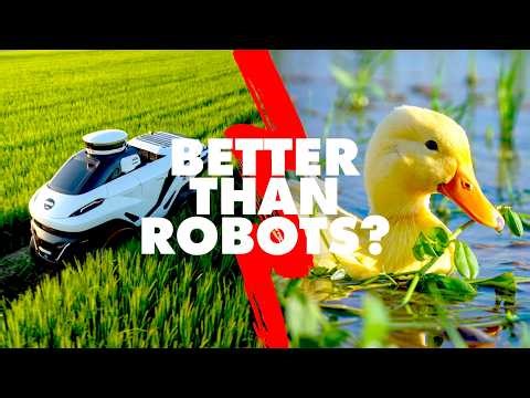 Japan Has Advanced Robots, But They Use This Instead!