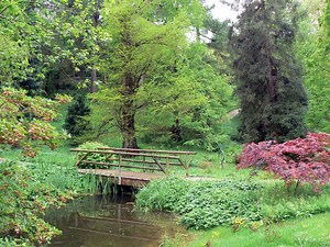 Alter Botanischer Garten (Old Botanical Garden) in Kiel, Germany