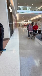 4.3K views · 326 reactions | A “baker’s “dozen” (13!) greyhounds gathered today at Yorktown to mall walk! Our cast: Ruby and Rizzo, Jucar, Picasso, Malcolm, Tommy, Welly, Ginny Todd, Grace, Turbo, Zee and Pax | Midwest Greyhound Adoption | Facebook