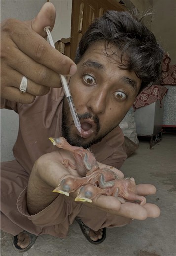 Explore Injection Techniques for Pet Care