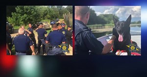 Stolen vehicle abandoned at Kensington Metropark after police chase