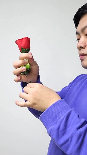Magic Rose Tutorial - How to Make Flowers Appear from Your Hands