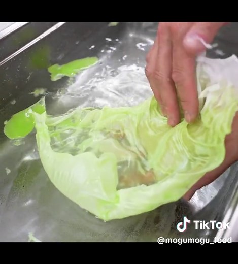 レタスの食品サンプル：Lettuce fake food