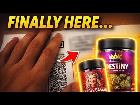 The New THCA Small Buds Pack… Here’s What You Get