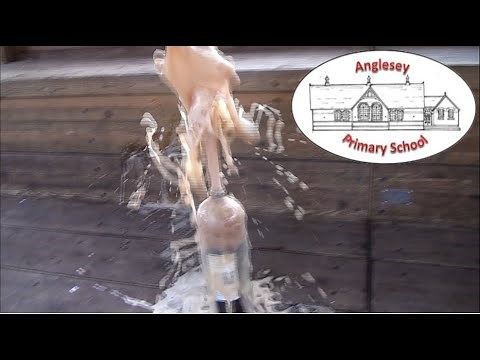 Science - How do different variables affect the Coke and Mentos reaction?