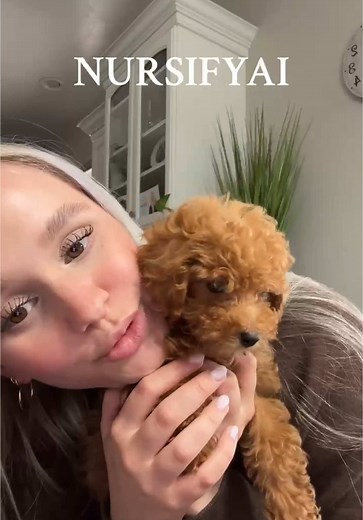 Nursify AI: Transforming Nursing Study with Flashcards