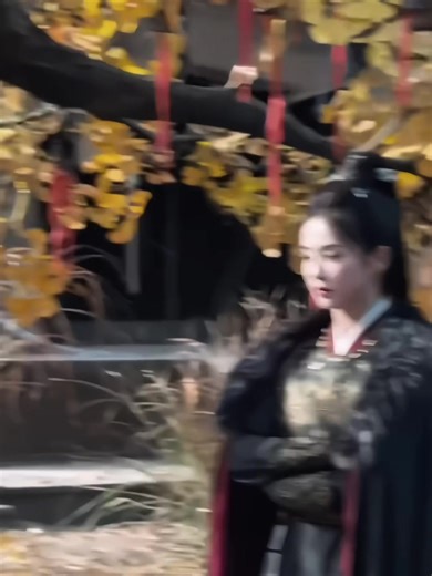 Explore Li Peiyi: The Charismatic Journey of Bailu