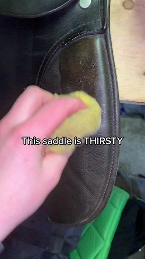 Reviving a Neglected Saddle: A Step-by-Step Guide