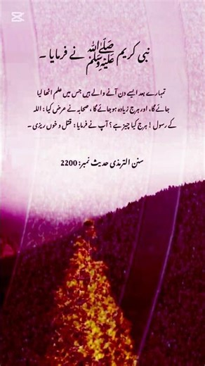 Islamic video #ytshorts #shorts #viralshorts #trending #shortsfeed #shortvideo #hadith #hadees