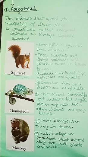 Arboreal animals/where are Arboreal animal found/Arboreal animal picture with name
