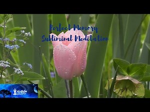 Super Memory - Remember Everything, Perfect Memory, Subliminal Meditation