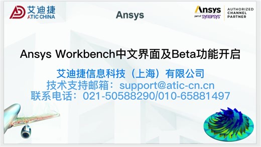 Ansys Workbench中文界面及Beta功能开启