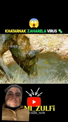 Dangerous virus 🦠😱#shorts #movie #viral