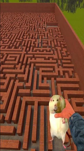 Rosalia Bizcochito And Granny Cought me in Big Maze Gmod Nextbot #shorts