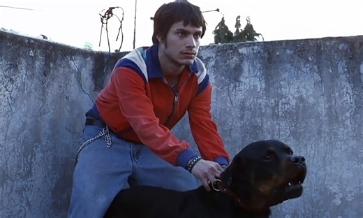 Crítica: Amores perros