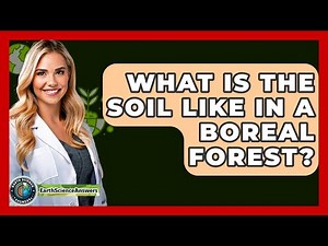 What Is The Soil Like In A Boreal Forest? - Earth Science Answers