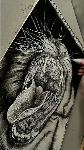 Realistic TIGER drawing