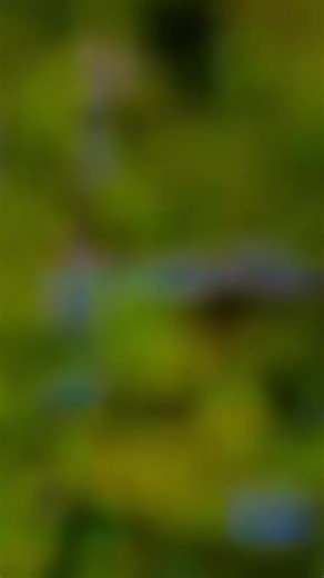 mang othanda patang gaththe muune reulavath nethuva . # . # . # 🖕🖕