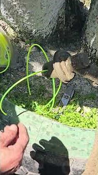 Replacing the line on a trimmer spool