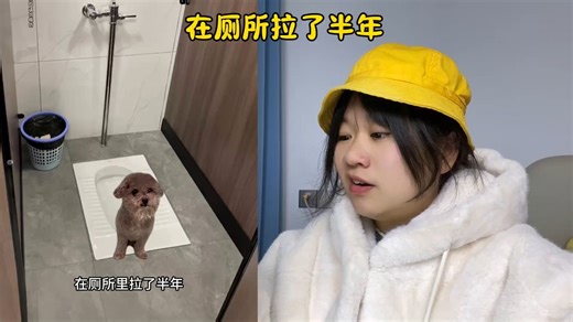 沙雕动画教我上厕所