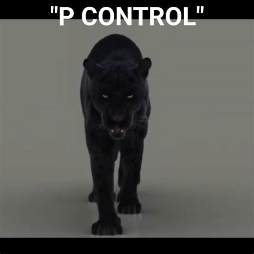 How Bad Is This Song? - "P Control" Prince Cover