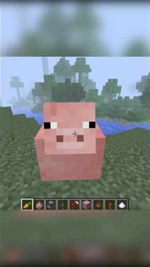 Minecraft 2.0 Update