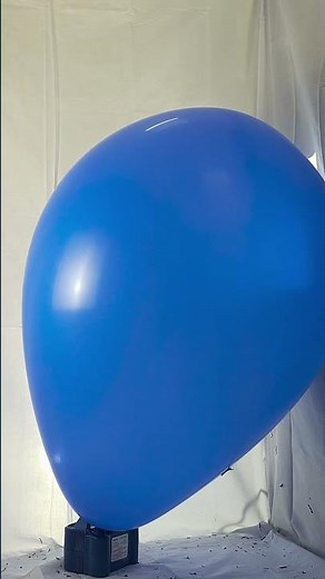 Quick BTP big long blue ballon blow to pop