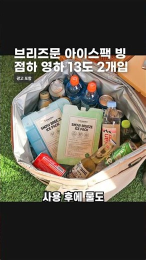 브리즈문 아이스팩 빙점하 영하 13도 2개입