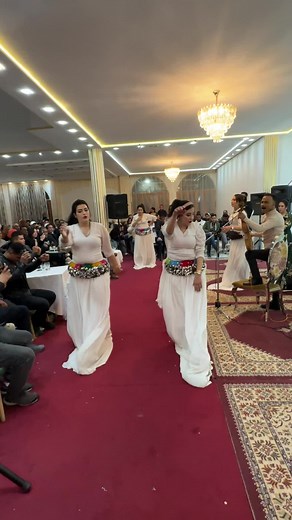 Hotel boxeur azrou sur TikTok