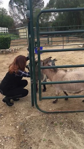 116K views · 3.8K reactions | We’ve been very busy because of the...