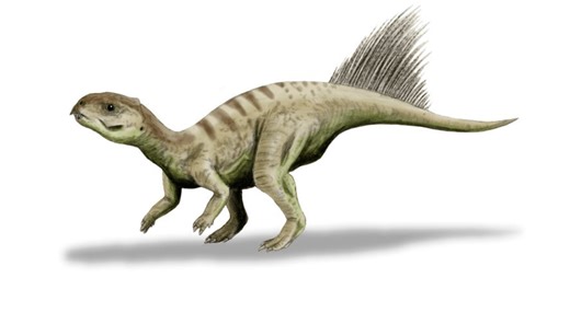 Which dinosaur would make the best pet? Here's what a scientist thinks | Discover Wildlife