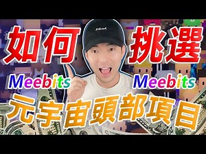 Meebits 元宇宙頭部項目如何挑選？