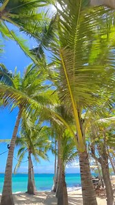 26K views · 2.8K reactions | "Escape to paradise at Bantayan Island! ️✨ With pristine white sand beaches, crystal-clear waters, and stunning sunsets, it's the ultimate destination for relaxation and adventure.  #BantayanIsland #CebuParadise #IslandGetaway"  asesssshhh | Cebu Travel and Tours | Facebook